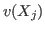 $v(X_j)$